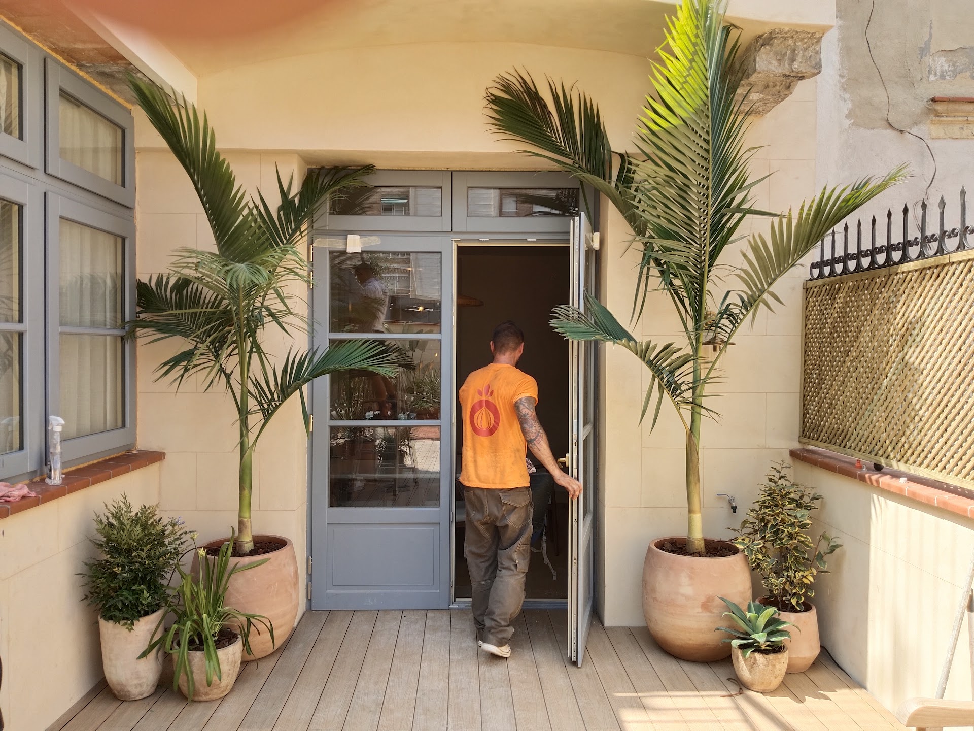 Jardín mediterráneo diseñado con olivos, piedra natural y vegetación exuberante